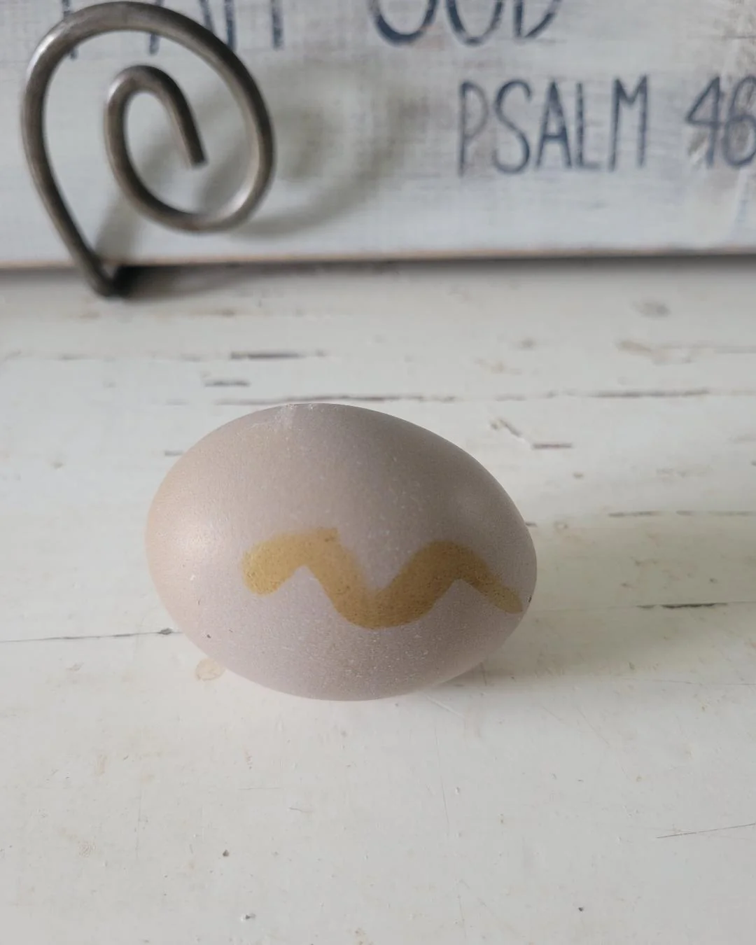 Olive Egger Chicks "Dark Green Egg Layer" - Image 5